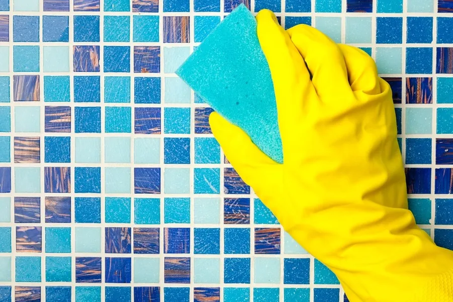 Why Regular Pool Cleaning Prevents Algae Growth Torrance, CA Why Regular Pool Cleaning Prevents Algae Growth Torrance, CA